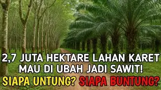Petani Disuruh Pilih: KARET ATAU SAWIT? Ini Fakta yang Selama Ini Disembunyikan!