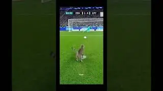 Cat Scores an Amazing Football Goal 😹⚽ #trending #football #viral #funny #neymar #cr7