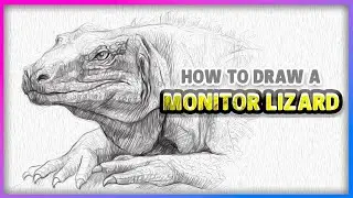 How to Draw a Realistic Monitor Lizard 🦎 | Step-by-Step Reptile Portrait for Beginners