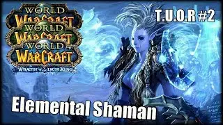 The Underdogs Of Raiding #2 &mdash; Elemental Shaman при участии Orcbit