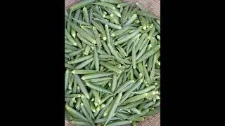 #village #mithila #streetfood #food #indianfood #farming #farmer