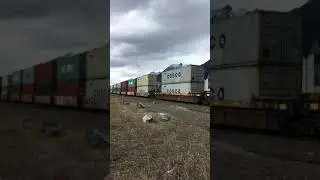 Canmore Train
