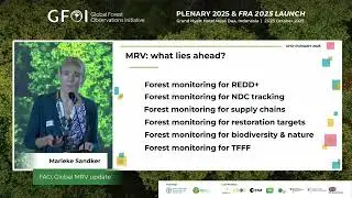 Forest monitoring update | GFOI Plenary 2025