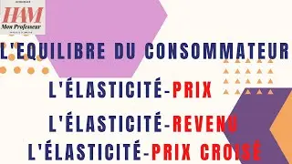 TD-Initiation-EX14: La Nature des Biens et Relation entre les Biens, Elasticité Prix, Revenu, Croisé