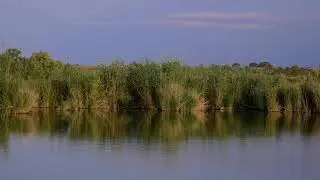 РЕЛАКС. ОЗЕРО. НОВОКАЯКЕНТ. 4К. RELAXING. MIX OF LAKE and SEA
