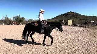 #119 Ranch Horsemanship -RCR Harley/Nicole Olmedo