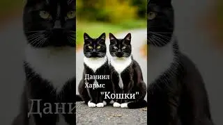 Даниил Хармс Кошки online video cutter com