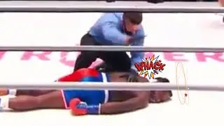Jake Paul vs Nate Robinson Knockout but with cartoon effects
