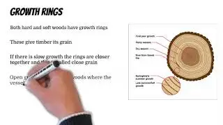 7.2 Growth rings