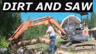 Cut Trees not Dirt Husqvarna cutting Birch Firewood.