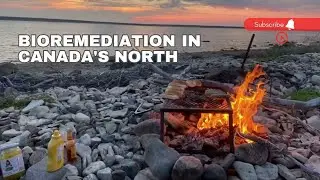 Bioremediation in Canada's North