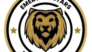 emerging Stars