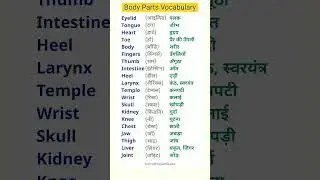 Human Body Parts Vocabulary in English | Hindi Meaning & Pronunciation | #shorts