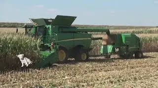 Grams dog got eaten by the combine bailer 😭🤞😢🤲 RIP Stanton