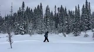 EFU Winter Walking Magnetometer Survey on wooden snowshoes - lithium exploration in Canada