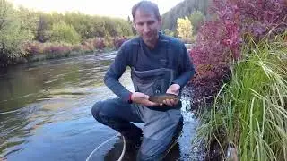 Fryingpan River -  Fall 2024