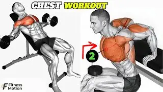 Chest Workout at Gym: 5 Best Exercises for a Bigger Chest (Step-by-Step) | FitMotionWorkout