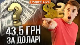 Валюта ЗІРВАЛАСЯ з ланцюга! Чому ДОЛАР РОСТЕ щодня? Що відбувається з ГРИВНЕЮ? Економісти ВІДПОВІЛИ