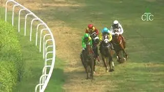 Race No 111 The Aggregated Plate