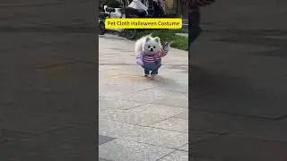 🎃This Funny Pet Costume = Q4 Winning Dropshipping Product 🚀#dropshipping #winningproducts #pets
