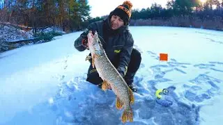 Аж жилка ТРІЩИТЬ від таких ЩУК !!! Зимова риболовля на Жерлиці !!!