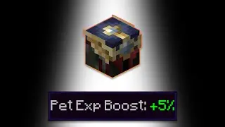 This Accessory Is Op for Pet Leveling | Hypixel Skyblock Ironman Diaries [2]