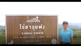 Visit the prettiest Tea plantation in Thailand and drive on the border road of Thailand and Burma.