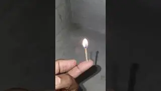 machis ki tilli ka kamal #viral short video 👍👍😱😱👍👍❤️❤️