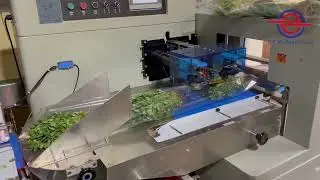 Vegetable packing machines for all types green leafy vegetables.