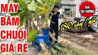 🔥 Tư Vấn & Báo Giá Mới Nhất 2026| Hơn 3 TRIỆU Có Thể Mua Máy Băm Chuối Nào TỐT NHẤT?