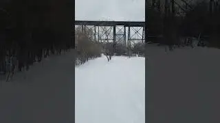 A Beautiful Winter Day in Toronto