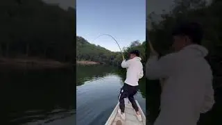 I caught the big fish🐟 Carp fishing🎣 Best fishing video #shorts #fishing