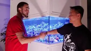 REEF TANK ADDICTION - SEASON 4 EPISODE 2