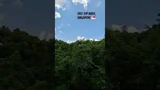 Tree top walk #song #macritchiereservoir #treetopwalk #singapore #marathi