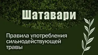 Шатавари. Мифы о 