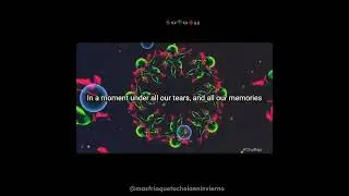 WHOLE AGAIN Steve Aoki #aokiverse #1