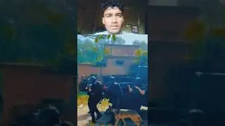 Nsg Commando Swag 😎 #short #viral #armyshort #reactionarmy #youtubereactionshort