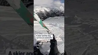 A skier and her dog survive an avalance