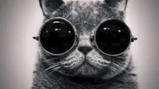 Vaudafunk - Love Is Psychedelic