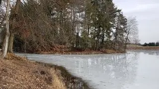 Ice on North Park Lake (2022-02-16)