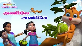 அணிலே அணிலே வா சுட்டி கண்ணம்மா பாடல்  Tamil Kids Song Anile Anile Nill Tamil Rhymes Chutty Kannamma