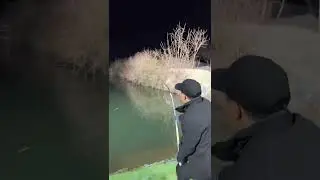 中国旅行直播 China Travel Live Streaming 2026/01/27 20:49:43.