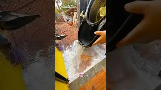 Balde Mop Move Perfect Pro Girat&oacute;rio 360 Cesto Inox Limpeza Pesada Completo