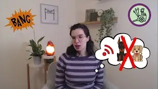 Spoken Latin Vlog || Aliquae res mirae (ac molestae) quas in novo cursu parando experta sum