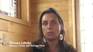 Winona's Hemp - Our Next Steps