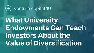 VC 101: What University Endowments Can Teach Investors About the Value of Diversification