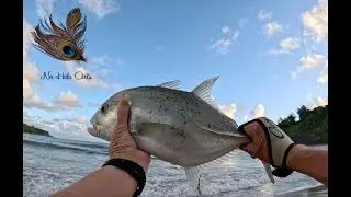 Whipping with flies on Kauai | Kauai Shore Fishing | Fishing Hawaii