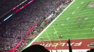 James White Game Winning Touchdown - Super Bowl 51 - Patriots vs. Falcons