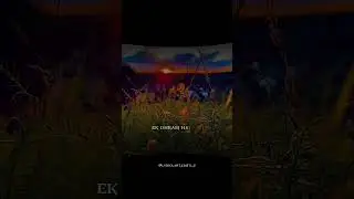 #tranding   