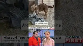 Missouri tops the list of puppy mills and kennels in the Humane Society&rsquo;s Horrible Hundred report ‼️